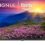 Insignia 50″ F50 Series Fire TV Review: Is This Budget 4K TV Worth It?